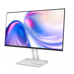 Lenovo L24-4C 23.8" Full HD IPS Monitor (67DDKAC6EU)