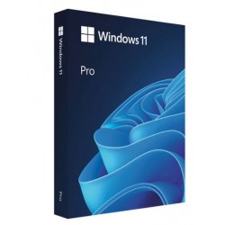 Win 11 Pro 64Bit Eng Intl 1pk DSP OEI DVD FQC-10528 