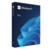 Win 11 Pro 64Bit Eng Intl 1pk DSP OEI DVD FQC-10528 
